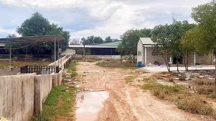 Doanh nghiệp chăn nuôi lợn quy mô lớn gây ô nhiễm môi trường