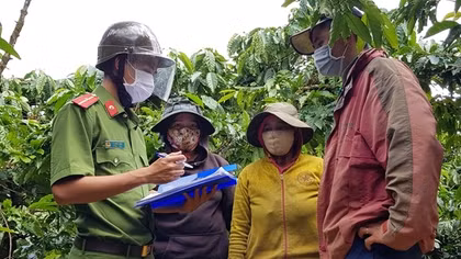 Giữ bình yên cho mùa thu hoạch cà phê ở Tây Nguyên