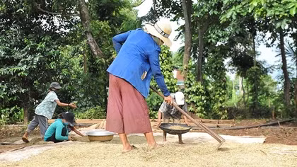 Nhịp sống trở lại buôn làng sau cơn đại dịch COVID-19