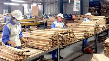 Việt Nam - Mỹ ký thoả thuận kiểm soát khai thác và thương mại gỗ bất hợp pháp