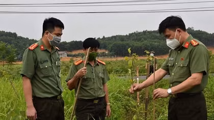 Cảm ơn những điều... bình thường