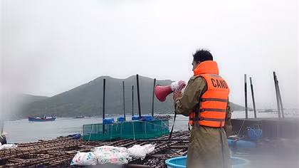 2 tỉnh Phú Yên, Khánh Hòa chủ động phòng, chống cơn bão số 9