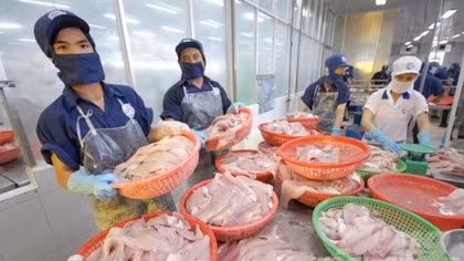 Xuất nhập khẩu khởi sắc