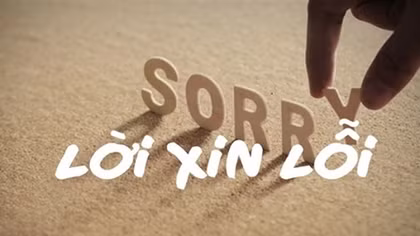 Văn hóa xin lỗi