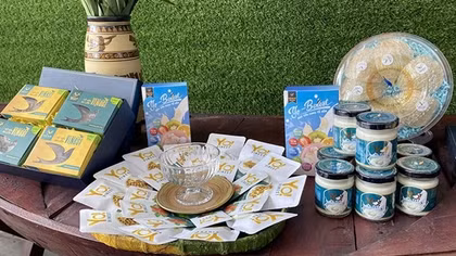 Cuộc thi dự án khởi nghiệp lần 7 thu hút nhiều thanh niên