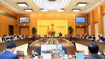 Thường vụ Quốc hội giải thích hành vi cố ý vượt qua cảnh báo, mã truy cập, tường lửa,