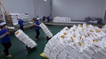 Hà Nội gửi tặng TP Hồ Chí Minh 5.000 tấn gạo, Bình Dương 1.000 tấn