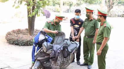 Đạo chích liên tỉnh không qua được chốt kiểm dịch