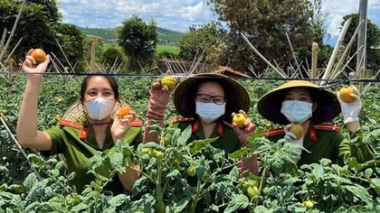Công an Lâm Đồng tiếp tục hỗ trợ bà con vùng dịch hàng chục tấn rau