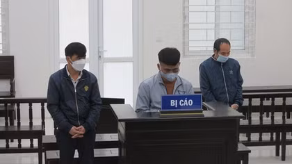 Vào tù vì mua bán gấu ngựa