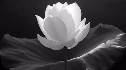 Đại tá Lê Bá Tôn từ trần