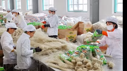 88 doanh nghiệp Việt Nam được sản xuất thực phẩm xuất khẩu sang Trung Quốc