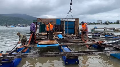 Đà Nẵng kiên quyết chấm dứt việc nuôi trồng thủy sản trái phép