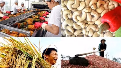 Thúc đẩy sản xuất, lưu thông, tiêu thụ và xuất khẩu nông sản trong bối cảnh phòng, chống dịch