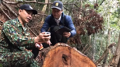 Lại chuyện “con voi chui lọt lỗ kim”(!)