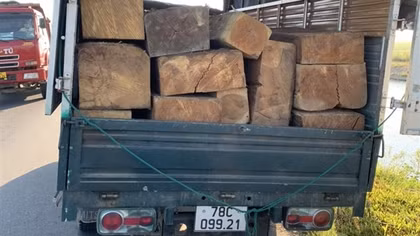 Xe tải chất đầy gỗ đỗ trên quốc lộ 29 một ngày, không thấy chủ xe