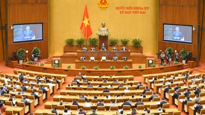 Sai phạm của một số y, bác sĩ "không ảnh hưởng lớn đến ngành"