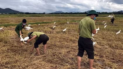 Ngăn chặn tình trạng đánh bắt, mua bán chim tự nhiên
