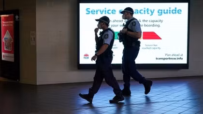 Australia thu giữ gần nửa tấn heroin trong container gạch men
