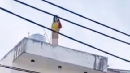 Giải cứu cô gái nghi "ngáo đá" nhảy múa trên nóc nhà