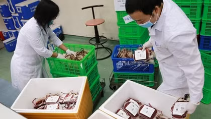 Chuyển 2.000 đơn vị máu vào TP Hồ Chí Minh