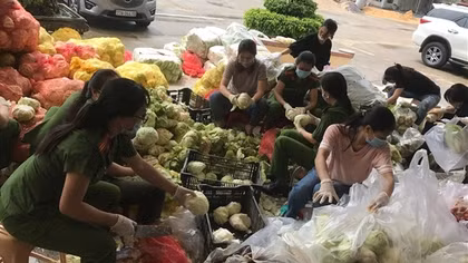 Công an hỗ trợ 10 tấn rau, củ quả cho người dân Bình Định