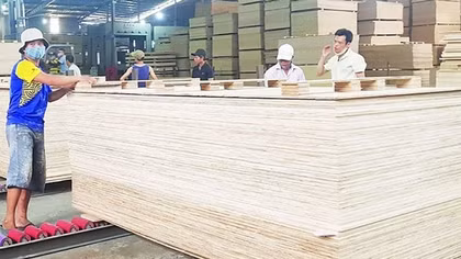 Mạnh tay chống gian lận xuất xứ mặt hàng gỗ