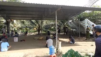 Tụ điểm đá gà có hàng rào và camera cảnh giới