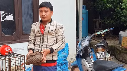 Phi vụ vận chuyển tê tê bất thành