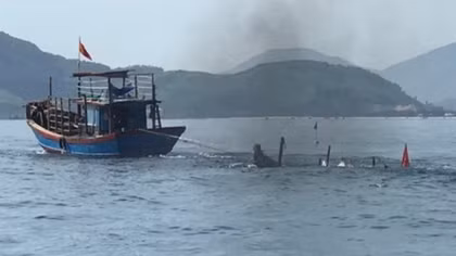 Tàu cá bị tàu hàng đâm chìm giữa biển, 12 ngư dân được cứu sống
