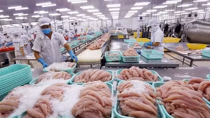 Quý I/2022, EC sẽ kiểm tra việc khắc phục “thẻ vàng” thủy sản của Việt Nam
