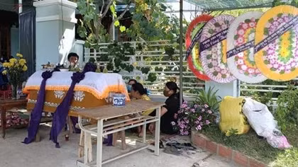Trèo cây hái nhãn, cháu bé tử vong vì bị ong vò vẽ đốt