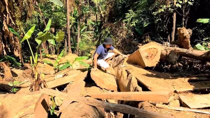 Vụ “Xã cắt xén tiền giao khoán bảo vệ rừng” tại Huế: Kỷ luật Chủ tịch xã và 2 cán bộ