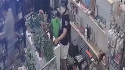 Vào mua cây cảnh, trộm điện thoại trị giá hơn 30 triệu đồng