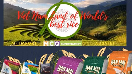 Hơn 10.000 người tiêu dùng Australia sẽ được mời dùng thử gạo Việt