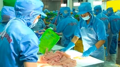 Ổ dịch công ty thủy sản tại TP Cần Thơ có 684 F0