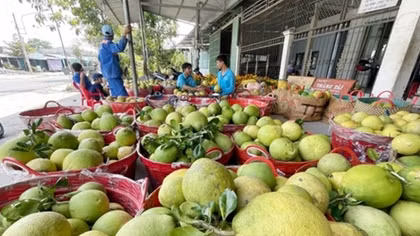 Tạo điều kiện giúp nông dân tìm đầu ra cho nông sản