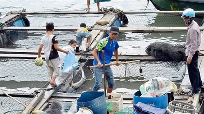 Kêu gọi hỗ trợ tiêu thụ thủy sản trên đảo Cát Bà