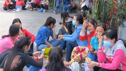 TP Hồ Chí Minh đã hỗ trợ người lao động và sử dụng lao động hơn 5.508 tỷ đồng