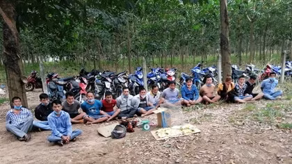 Xóa sổ trường gà trong rừng cao su