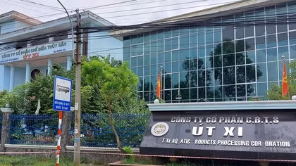 Xuất hiện chùm ca bệnh COVID-19 tại công ty thủy sản Út Xi