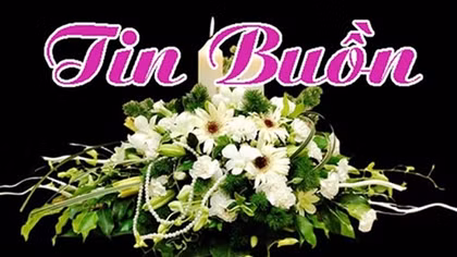 Đồng chí Hoàng Vĩnh Giang từ trần
