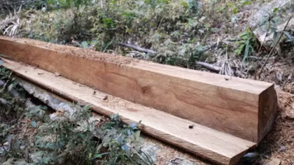 Rừng Khu bảo tồn thiên nhiên Bắc Hướng Hoá bị tàn sát trên diện rộng