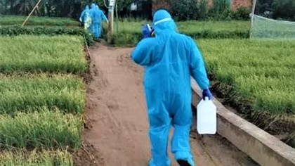 Những bước chân thầm lặng trên trận tuyến truy vết, bóc tách F0