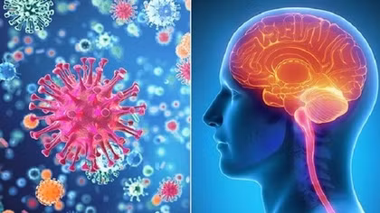 Từ vụ bé gái tử vong do viêm não mô cầu, tăng cường phòng bệnh bằng vaccine