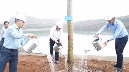 TKV trồng hơn 9 vạn cây xanh trong những ngày đầu xuân mới