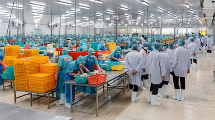 Ban Thường vụ Tỉnh ủy Thanh Hóa thăm và làm việc tại Tỉnh An Giang và Tập đoàn Sao Mai