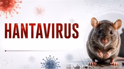 Bộ Y tế lên tiếng về nguồn lây virus Hanta trên tàu du lịch quốc tế