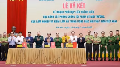 Xử lý nghiêm, ngăn chặn tình trạng xâm hại động vật hoang dã