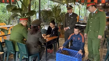 Kiểm soát vi phạm pháp luật liên quan đến động vật hoang dã